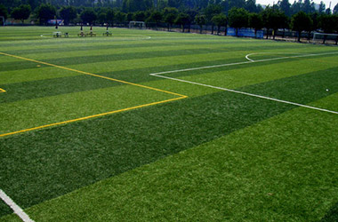 Football & Futsal Field